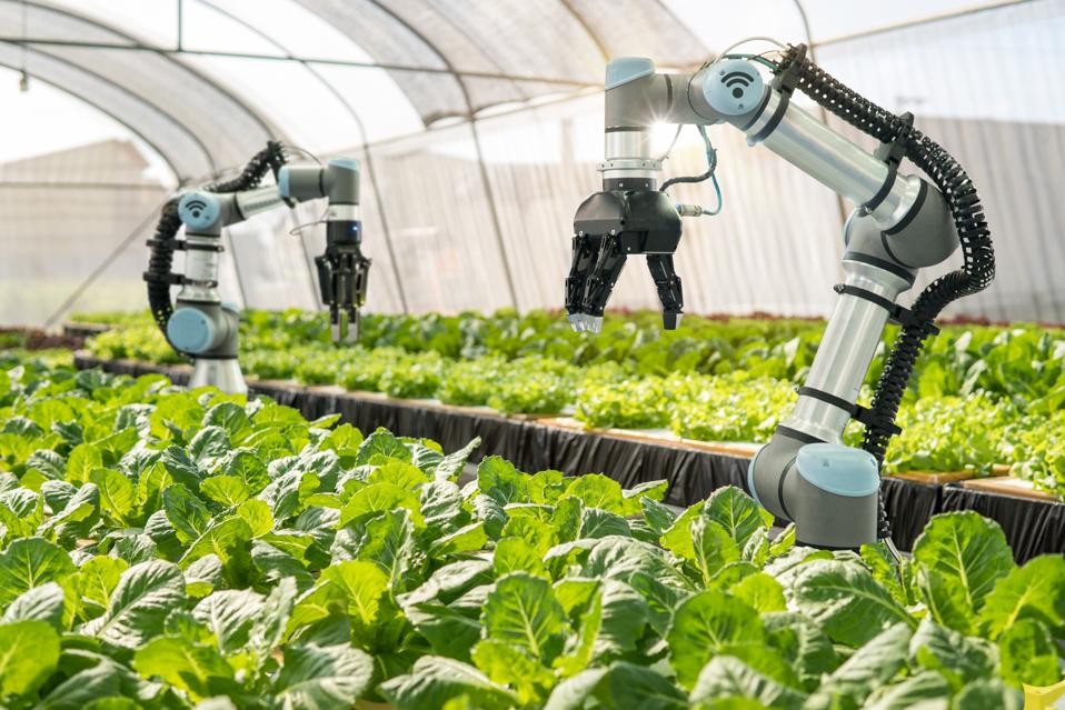 How AI and 3D Printing are Evolving Agricultural Practices In the Change of Food Production