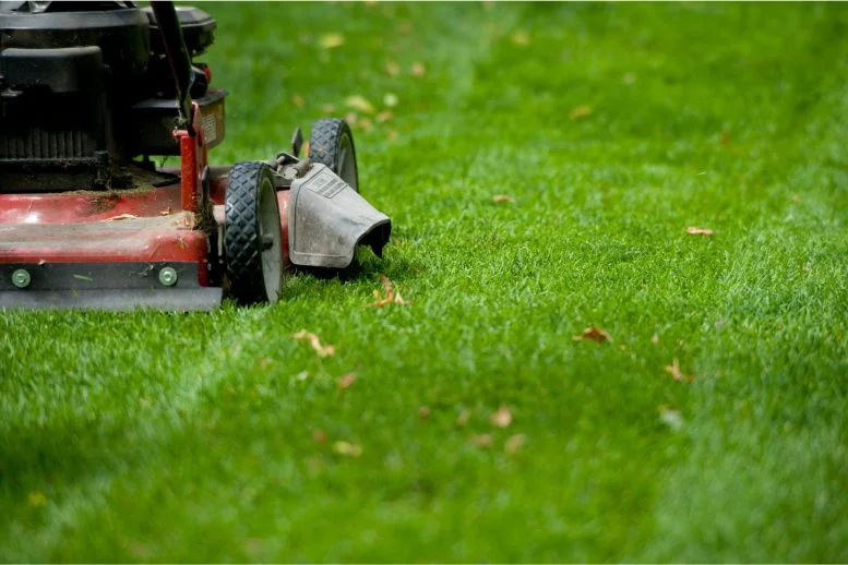 Big Economic Problem: Staggering New Research Reveals That a Quarter Of The Lawns Across America Come In Above The Federal Safe Limit For Toxic Lead—At The Cost Of Trillions.