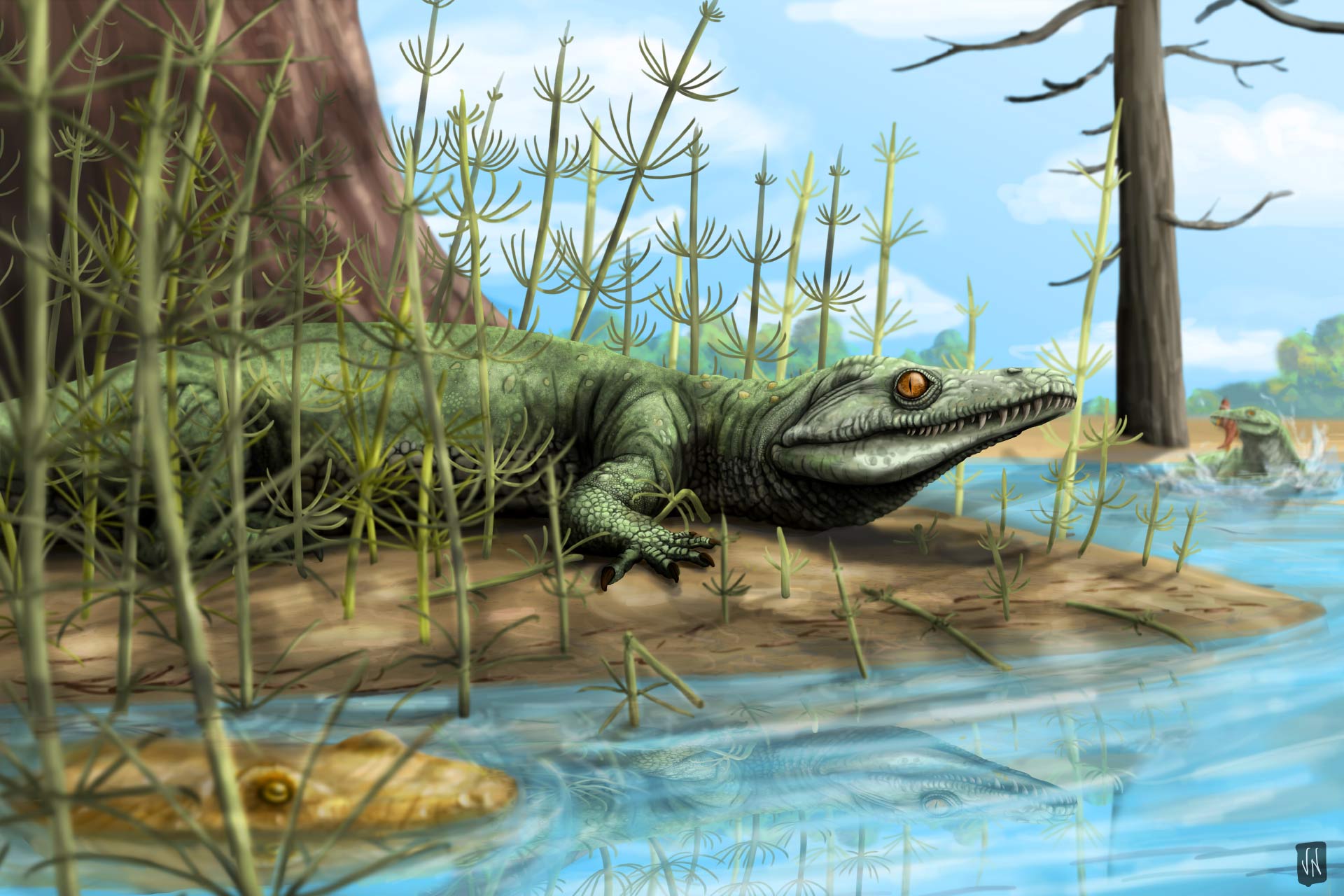 Have fossil remains of a crocodile-like reptile been discovered in Brazil?